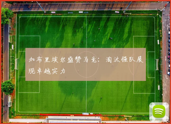 加布里埃尔盛赞马竞：淘汰强队展现卓越实力