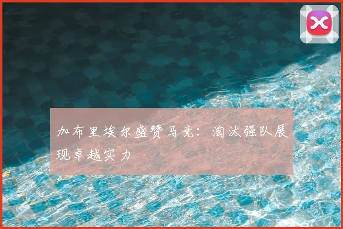 加布里埃尔盛赞马竞：淘汰强队展现卓越实力